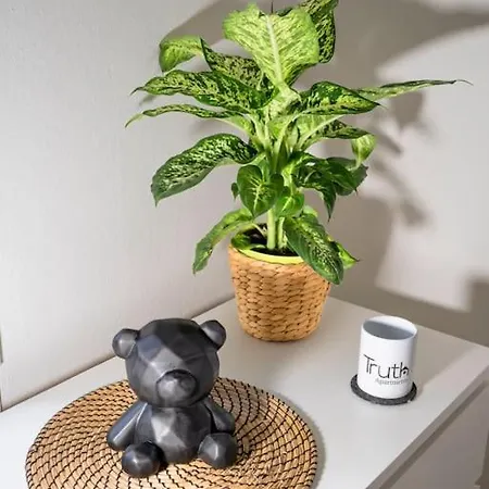 דירה Truth Loft - Kueche, Internet, Modern, Anbindung דורטמונד